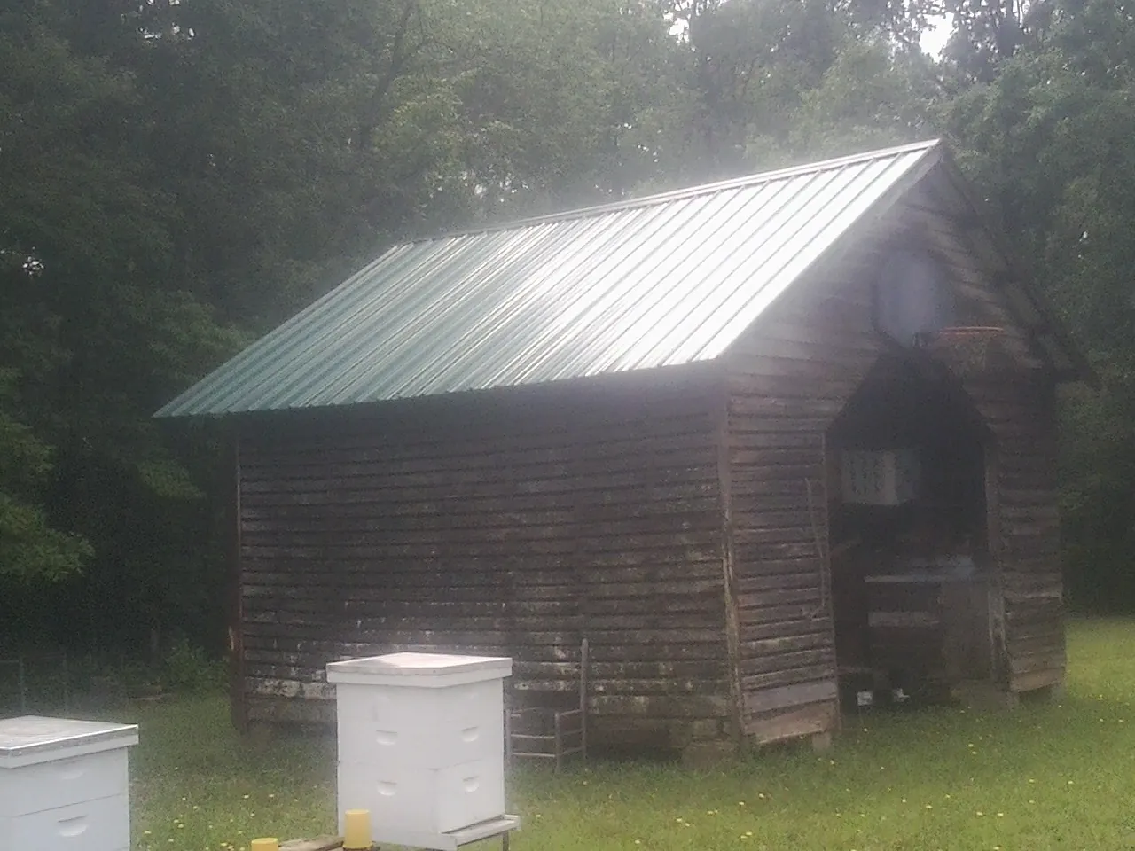 Green metal roof on a weathered barn beside stacked beehives in Shubuta